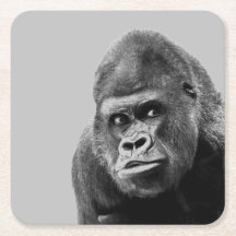 Black White Gorilla