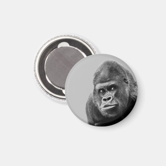 Black White Gorilla Magneet (Voorkant / Achterkant)