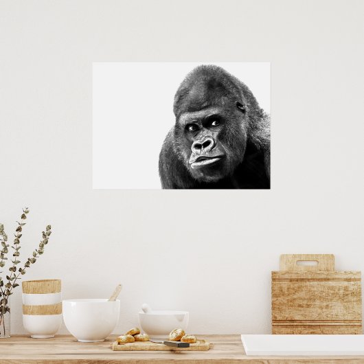 Black White Gorilla Poster (Keuken)