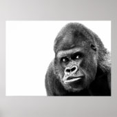 Black White Gorilla Poster (Voorkant)