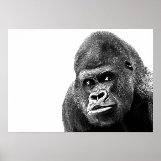 Black White Gorilla Poster (Voorkant)