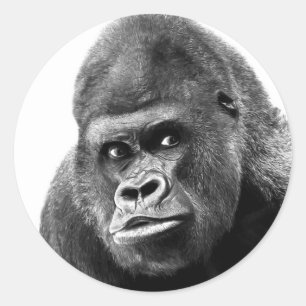 Black White Gorilla Ronde Sticker