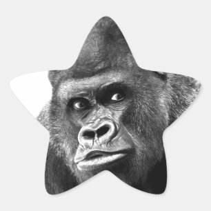 Black White Gorilla Ster Sticker