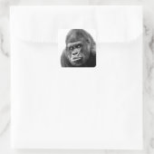 Black White Gorilla Vierkante Sticker (Tas)