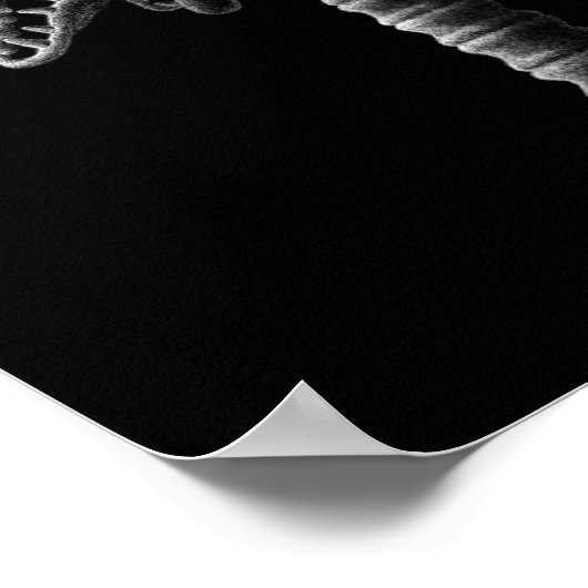 Black White gothic Skulls Horror Tree Poster (Hoek)