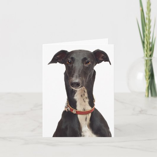 Black & White Greyhound Puppy Dog Blank Note Kaart (Voorkant)