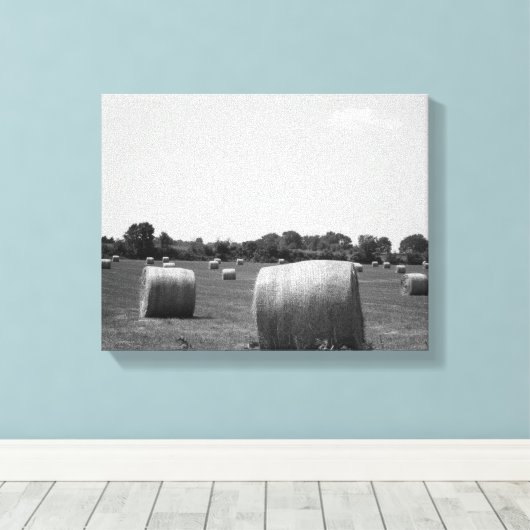 Black & White Hay Rolls, verspreid over een Boerde Canvas Afdruk (Insitu (Houten vloer))