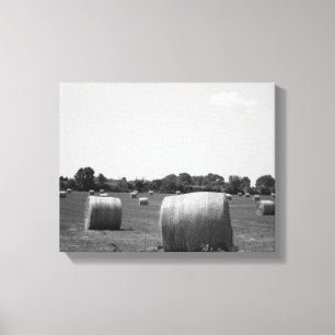 Black & White Hay Rolls, verspreid over een Boerde Canvas Afdruk