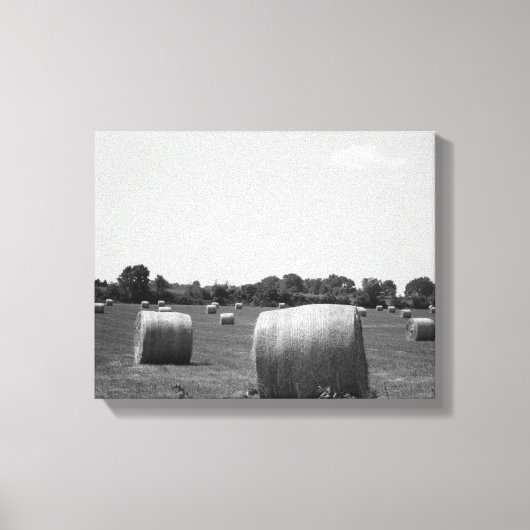 Black & White Hay Rolls, verspreid over een Boerde Canvas Afdruk (Voorkant)