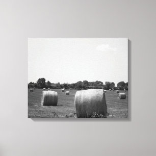 Black & White Hay Rolls, verspreid over een Boerde Canvas Afdruk