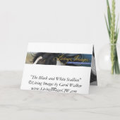 Black & White Hengst Wild Horse Wenskaart Kaart (Achterkant)