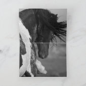 Black & White Hengst Wild Horse Wenskaart Kaart (Binnen)