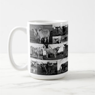 Black White Highland Koe Fotografie, Mok