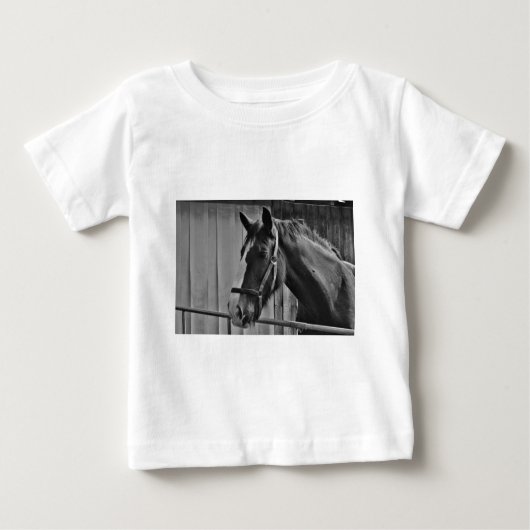 Black White Horse - Animal Photography Art (Voorkant)