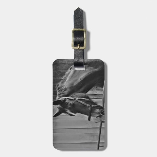 Black White Horse - Animal Photography Art Bagagelabel (Voorkant verticaal)