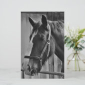 Black White Horse - Animal Photography Art Briefpapier (Staand voorkant)