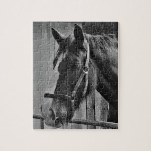Black White Horse - Animal Photography Art Legpuzzel