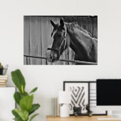 Black White Horse - Animal Photography Art Poster (Thuiskantoor)