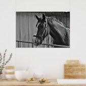 Black White Horse - Animal Photography Art Poster (Keuken)
