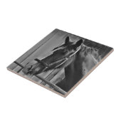 Black White Horse - Animal Photography Art Tegeltje (Zijkant)