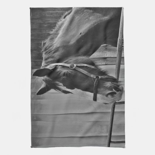 Black White Horse - Animal Photography Art Theedoek (Verticaal)