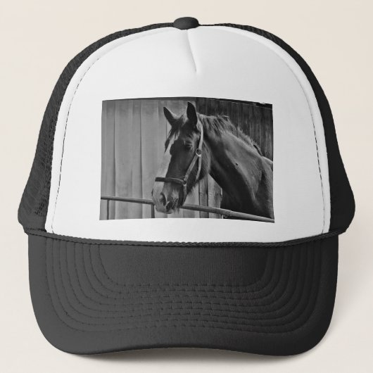 Black White Horse - Animal Photography Art Trucker Pet (Voorkant)