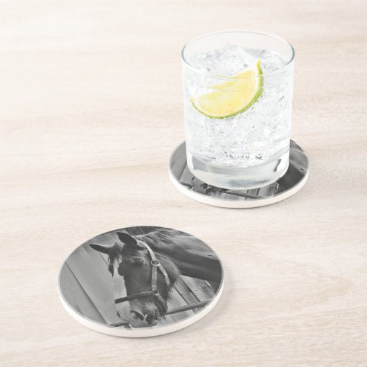 Black White Horse - Animal Photography Art Zandsteen Onderzetter (Zijkant)