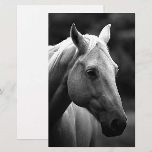 Black White Horse Briefpapier (Voorkant / Achterkant)