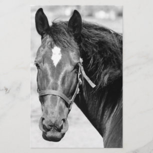 Black White Horse Briefpapier