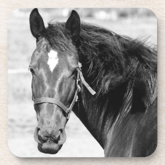 Black White Horse Drankjes Onderzetter (Voorkant)