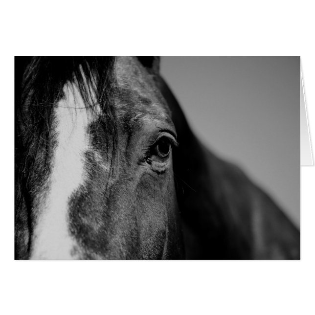 Black White Horse Eye Artwork (Voorkant Horizontaal)