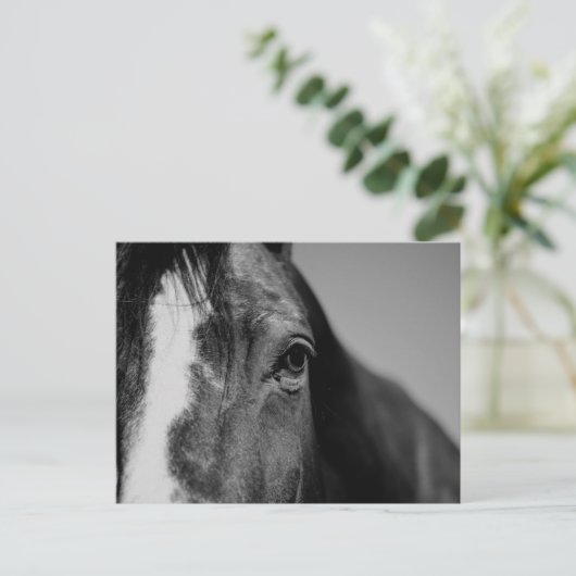 Black White Horse Eye Artwork Briefkaart (Staand voorkant)