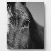 Black White Horse Eye Artwork Fotoplaat (Voorkant)