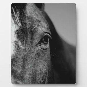 Black White Horse Eye Artwork Fotoplaat