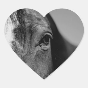 Black White Horse Eye Artwork Hart Sticker