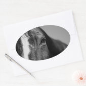 Black White Horse Eye Artwork Ovale Sticker (Envelop)