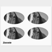 Black White Horse Eye Artwork Ovale Sticker (Vel)