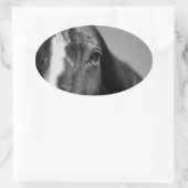 Black White Horse Eye Artwork Ovale Sticker (Tas)