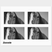 Black White Horse Eye Artwork Rechthoekige Sticker (Vel)