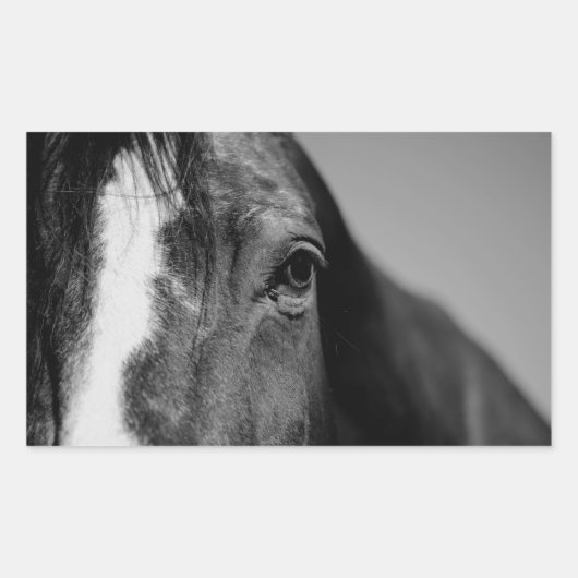 Black White Horse Eye Artwork Rechthoekige Sticker (Voorkant)