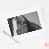 Black White Horse Eye Artwork Rechthoekige Sticker (Envelop)