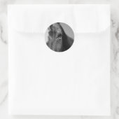 Black White Horse Eye Artwork Ronde Sticker (Tas)