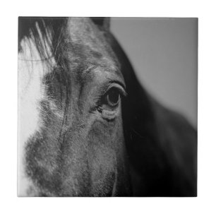 Black White Horse Eye Artwork Tegeltje
