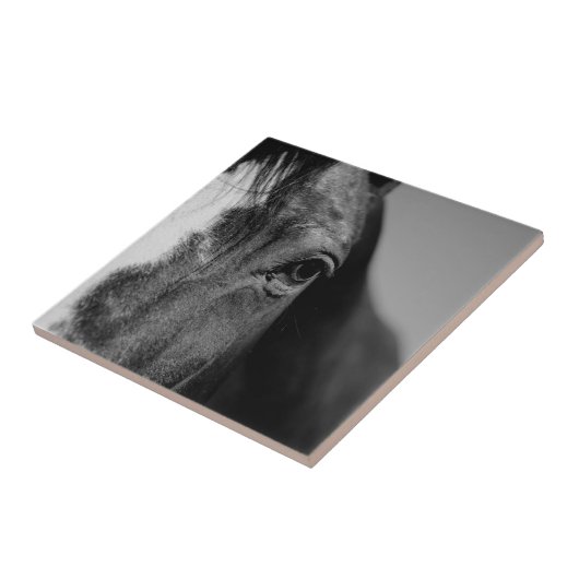 Black White Horse Eye Artwork Tegeltje (Zijkant)
