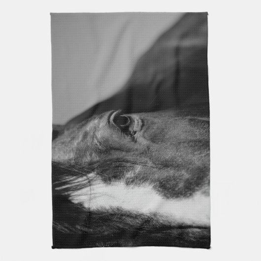 Black White Horse Eye Artwork Theedoek (Verticaal)