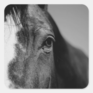 Black White Horse Eye Artwork Vierkante Sticker
