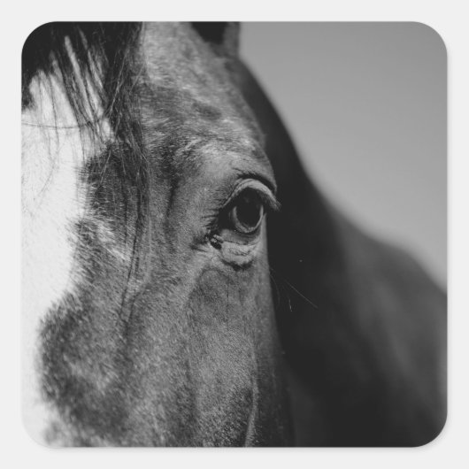 Black White Horse Eye Artwork Vierkante Sticker (Voorkant)