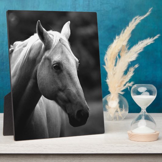 Black White Horse Fotoplaat (Zijkant)