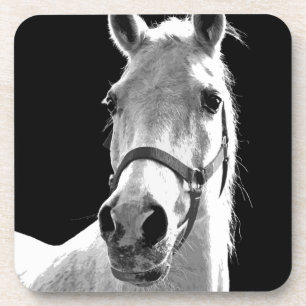 Black White Horse in de nacht close-up Drankjes Onderzetter