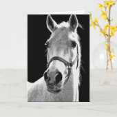 Black White Horse in de nacht close-up Kaart (Gele Bloem)